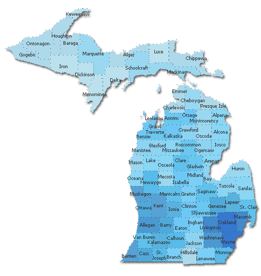 Mi Zip Code Map